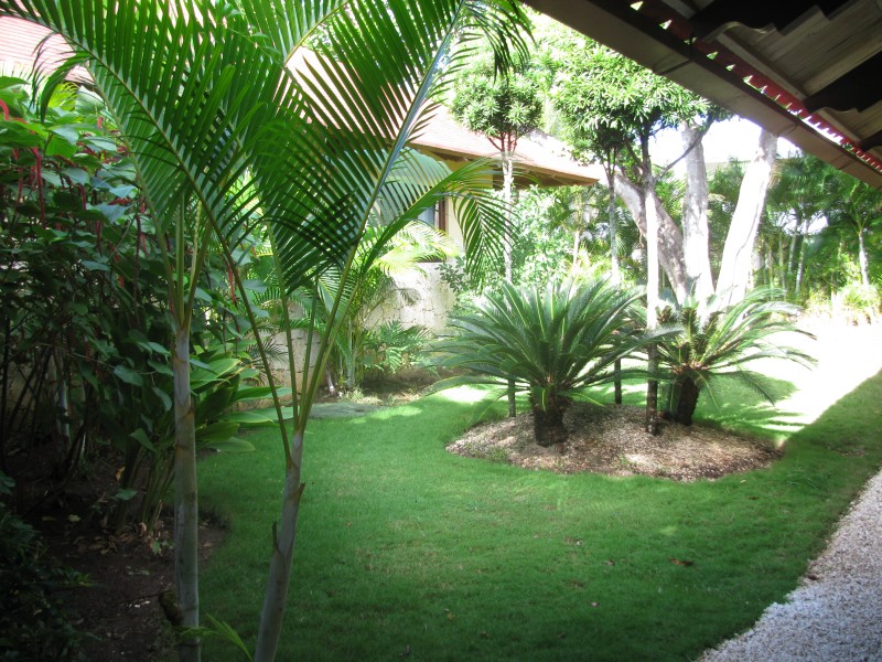 Dominican Republic 335.jpg